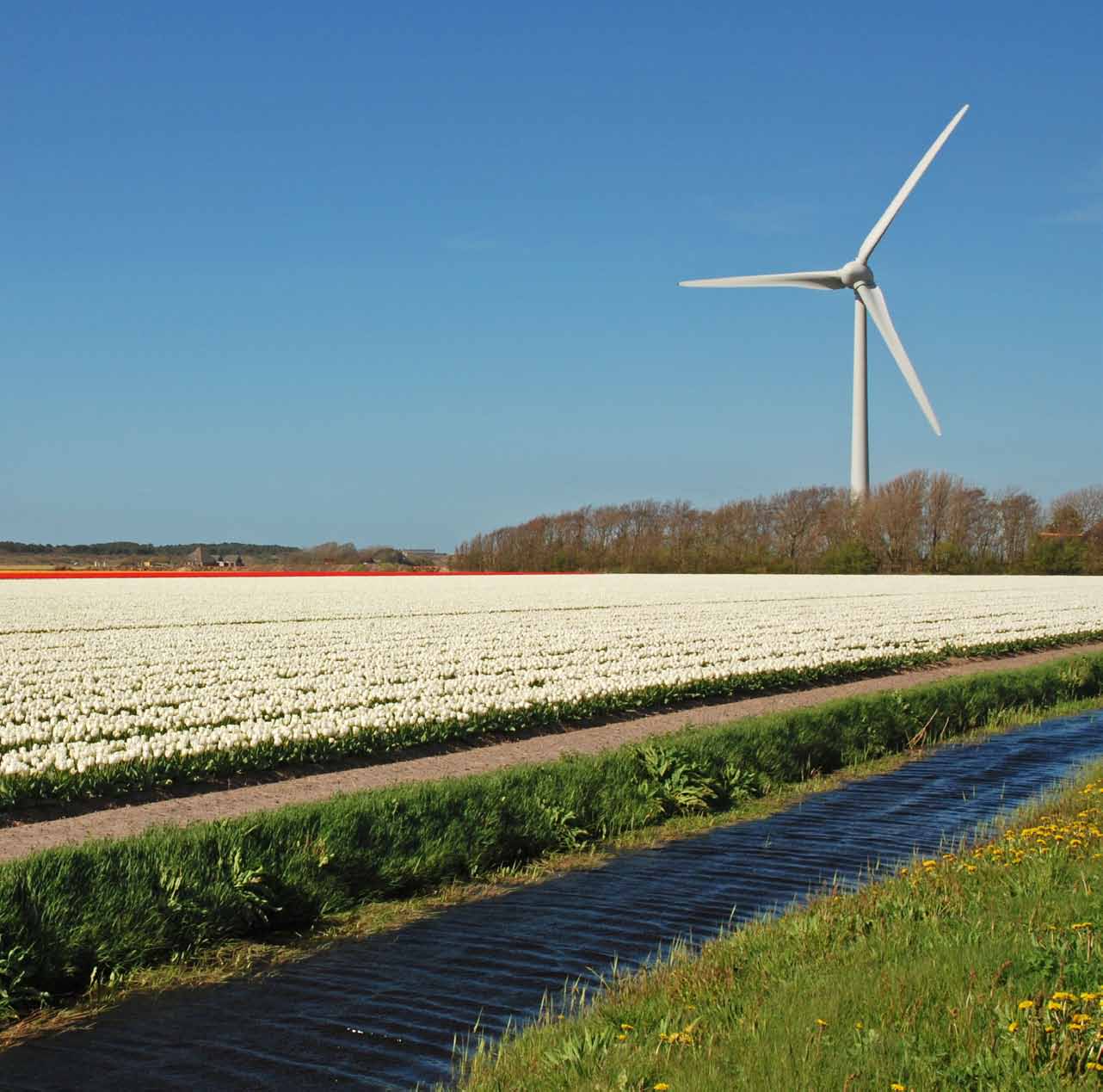 only meting waarbij de meter alleen opengaat wanneer het regent, en een bulk meting, waarbij de opstelling altijd openstaat.