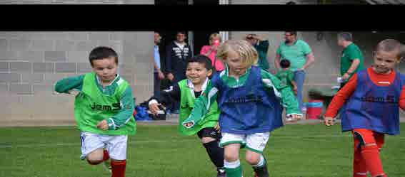 4. Het leerplan * De ontwikkelingsfase 2 tegen 2 : U5 en U6 2 2 (debutantjes) U5 U6 Balgewenning Oppositiespelen Football as a dribbling and shooting game BESCHRIJVING VAN DE SPELOMGEVING 1ste fase: