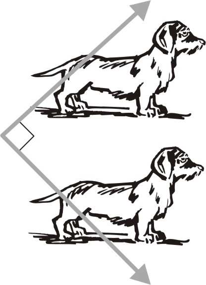 De trekkracht u r waarmee de schuit voort getrokken wordt is kleiner. Bepaal u r als v r = 2. Uit: Nollet, Leçons de Physique Experimentale, M.DCC.LIII.