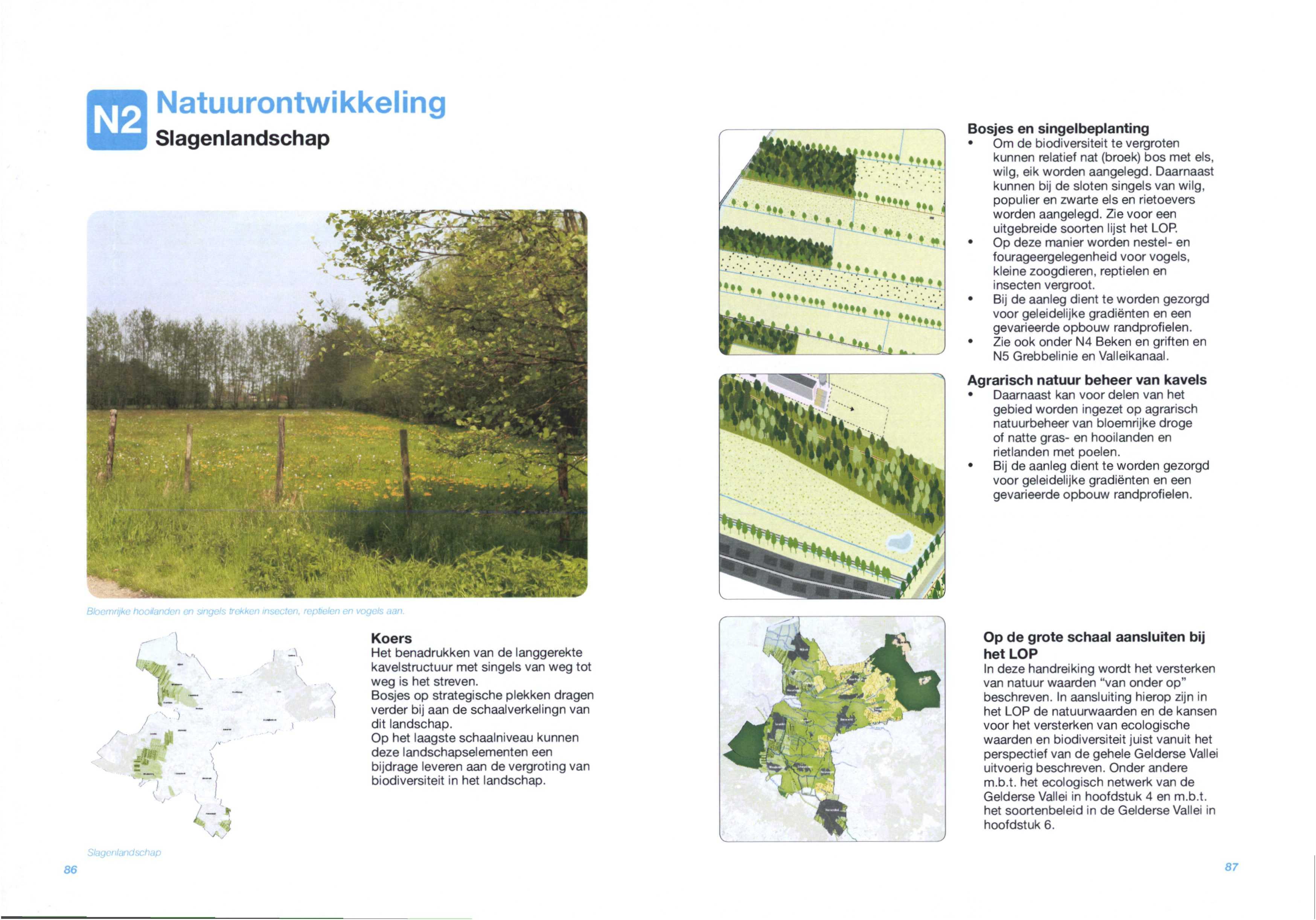 N2 Natuurontwikkeling Slagenlandschap Bosjes en singelbeplanting Om de biodiversiteit te vergroten kunnen relatief nat (broek) bos met els, wilg, eik worden aangelegd.