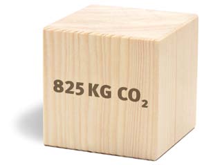 Deze fase gaat van de verwerking van houten stammen in de zagerij tot de productie van houtproducten zoals laminaatvloeren.