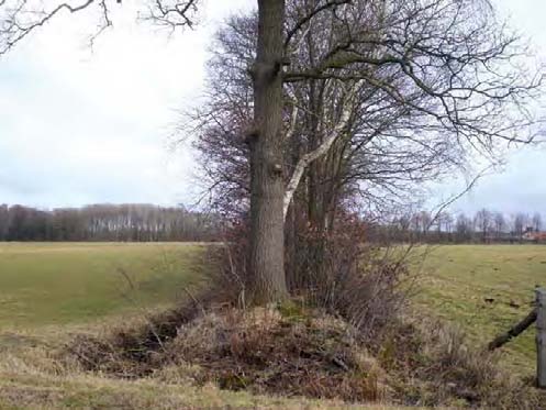 54 Summary: Earthen walls from an archaeological perspective During the historical period especially in the Pleistocene inland parts of the Netherlands many fields used to be enclosed by earthen
