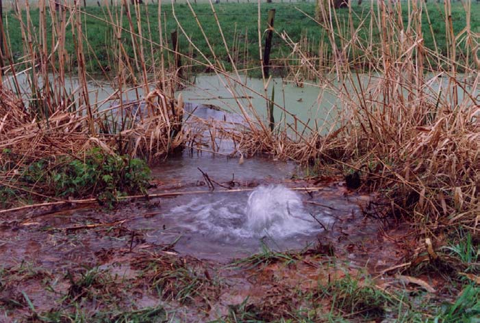 Bijlage 5 Schadebeelden Bijlage 5 Schadebeelden Foto b5.1 Waal, Rechteroever te Heesselt (DP 126) tijdens hoogwater 1988.