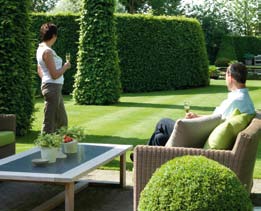 Die komen wel voor achter een volle muur, en zijn onaangenaam voor jou en voor je planten. Nee, het is veel behaaglijker achter een haag.