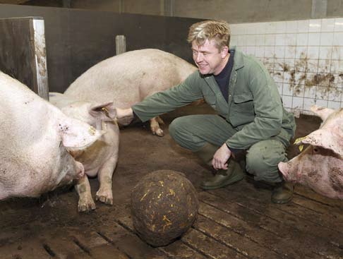 meer uit varkensboeren halen. Varkenshouders hebben bakken met kennis. Zet ze in een hok bij elkaar en er komen de mooiste Varkenshouders hebben bakken met kennis.