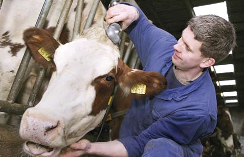 Voor de jonge veehouder stond het altijd vast dat hij naast het bedrijf meer wilde gaan doen. Ik ben geen koeiengek die tot zes generaties terug nog de voorvaders van een koe kent.