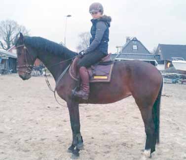 Mattie van der Tuin reed met pony Switch een mooie 1e en 2e prijs bij elkaar in de klasse L/C Henrica Bakker reed met pony Moestie twee mooie 2e prijzen bijeen in de klasse M/C Joke Bakker won met