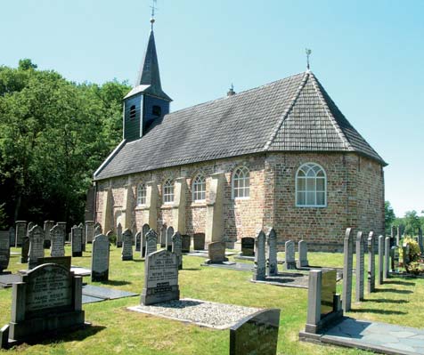 De bossen van Beetsterzwaag verbergen heel wat mooie wandel- en fietsroutes. Grote kans dat u wilde reeën of roofvogels tegenkomt.