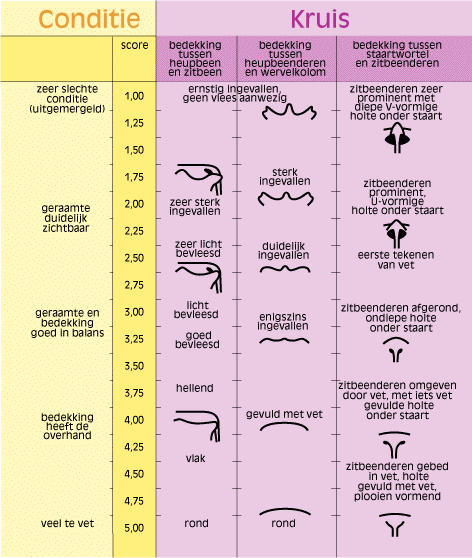 9. Methodologische fiches Figuur 2.