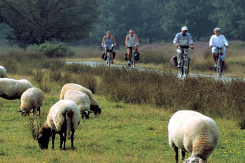 Verkeersveiligheidsanalyse Drenthe Samenhang