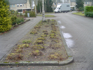 5.2.8 De jaren negentig en verder De jongste buurten kenmerken zich door de terugkeer van een meer gestructureerde opzet. Daalkampen in Borger is hiervan een goed voorbeeld.