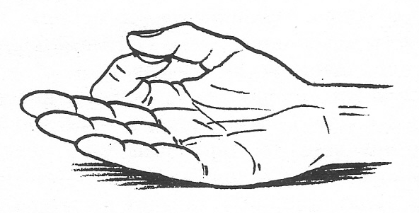 Zijne Heiligheid: Dit teken staat bekend als Jnana Mudra (symbool van Kennis). In dit symbool buigt de wijsvinger diep om de duim te ontmoeten.