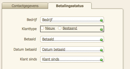 Les 7 Gegevensinvoer vereenvoudigen 49 Het veld Klanttype opgemaakt als een reeks keuzerondjes 7.