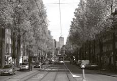 Ook goed voor de orrientatie. (foto image_114) Iets verderop is de kruising van de Christoffel Plantijn route met de Oude Haagseweg.