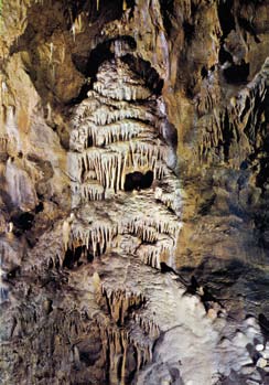2 Dinant ontdekkingen GROT VAN DINANT «La merveilleuse» Kom en bewonder de schoonheid van dit juweel van de Dinantse ondergrond. Bewonder de helderheid van de stalactieten en de stalagmieten.
