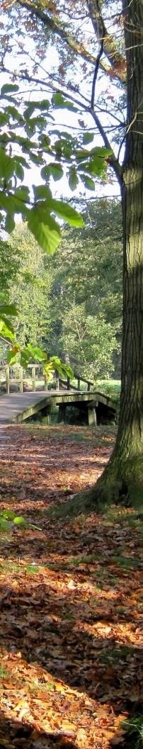 mogen staan en samen mogen bidden: Wees gegroet, Maria.. De zomer is voorbij. De bladeren vallen.