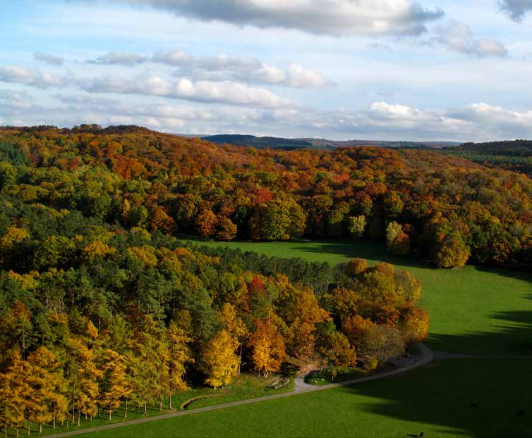 Redécouvrez la nature dans son écrin d origine 250