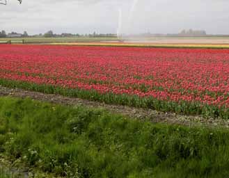 Unieke locatie in een aantrekkelijke omgeving De ligging van het kleinschalige bedrijventerrein Zuiderkogge is zonder meer mooi.