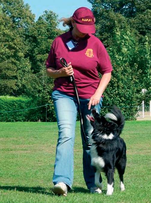 baas-hond, hond-maatschappij en de educatieve en sportieve activiteiten voorop staan.