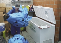 Weegt het gezelschapsdier meer dan 10 kilogram of gaat het om een landbouwhuisdier, dan ben je verplicht om het door een erkend bedrijf te laten ophalen.