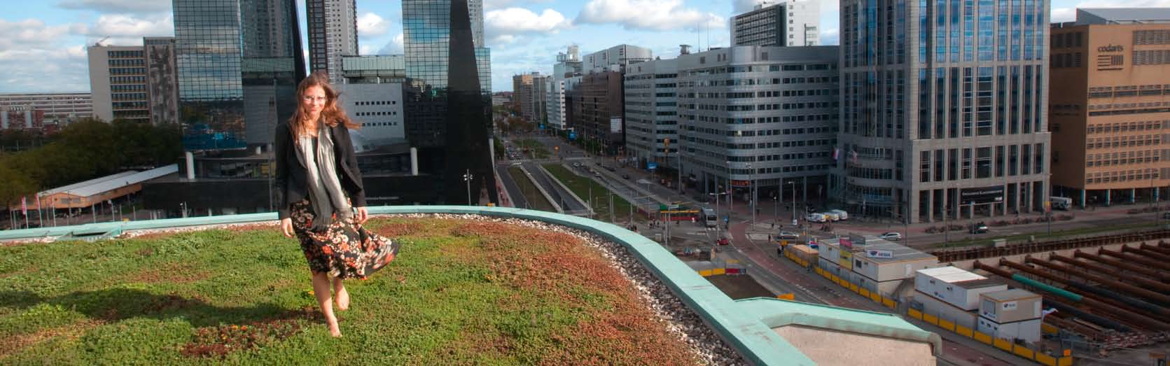 anders belonen tekst Sascha beeld Martijn Hol Carolien Hoogland op het groene dak van het groothandelsgebouw in Rotterdam een van de mogelijkheden van ecologisch bouwen die Hoogland zelf ook