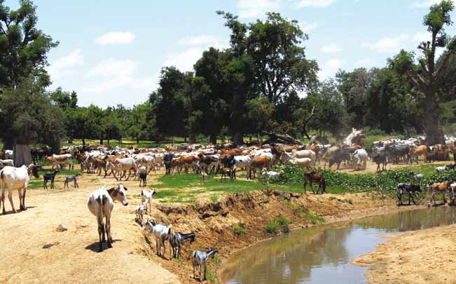 Een moeizame zoektocht naar duurzaamheid De zoektocht naar een duurzame invulling van ons welvarende bestaan gaat gepaard met grote emoties.