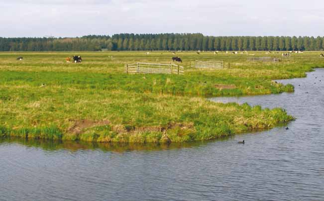 Inleidende verhalen Over de veehouderij bestaan veel verhalen. Sommige daarvan gaan over (vermeende) excessen als Q-koorts, megastallen, mestproblemen of antibiotica.