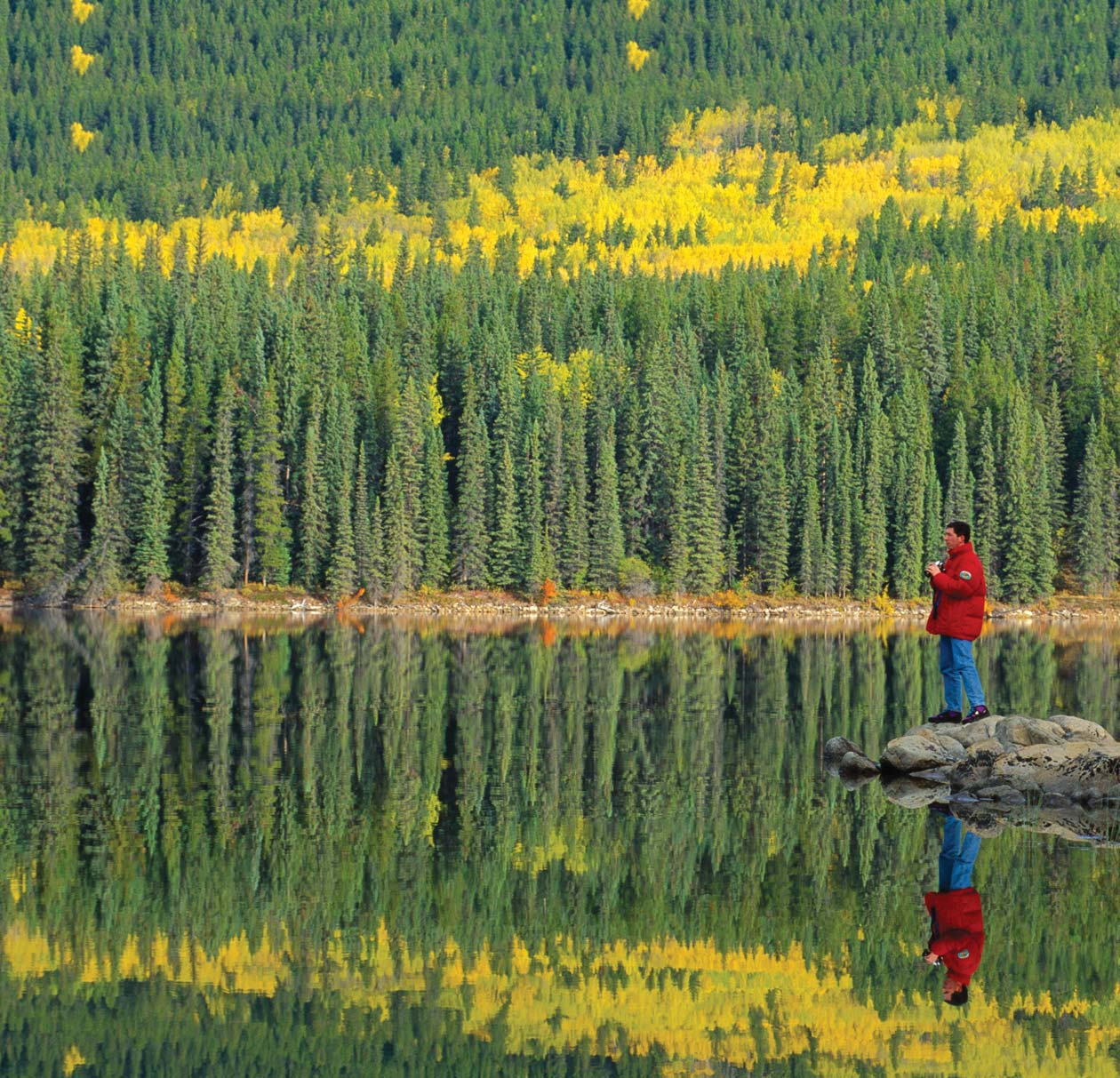 Feiten over Biodiversiteit Samenvatting van het Millennium Ecosystem Assessment Biodiversiteitrapport BIODIVERSITEIT draagt bij tot veel aspecten van het menselijk welzijn,