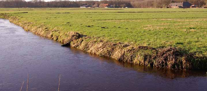 Veengronden kunnen veel koolstof opslaan. Maar in Nederland en andere delen van de wereld wordt veengrond momenteel juist afgebroken.