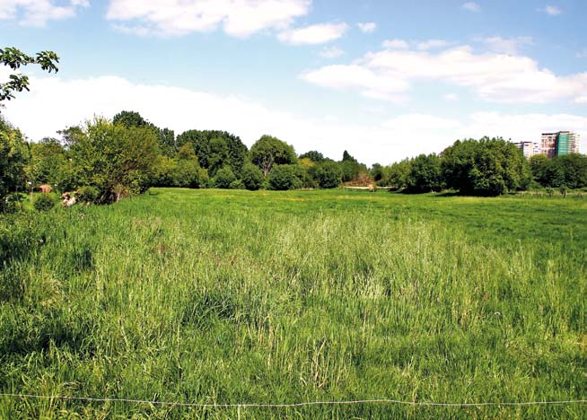 60 61 Sleutelproject 1: We koesteren en versterken onze waardevolle natuur, bos en landschap Door gemeente- en gewestgrensoverschrijdend samen te werken creëren we samenwerkingsverbanden die leiden