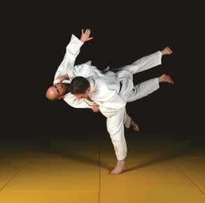 Hendriks en PhD-student Sietse Jongsma. Dit drietal heeft samen meer dan 60 jaar judo-ervaring.