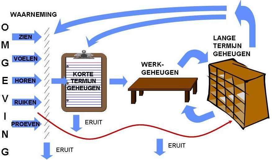 Zonde van de tijd Overschrijven van een ander Geen huiswerk maken, alleen leren De dag van tevoren globaal zaken doornemen Weinig