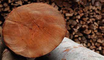 VERKOOP Het gebruik van de houtige biomassa kent vele toepassingen: brandhout, materiaalhout, meststoffen, papier en karton, biobrandstoffen, elektriciteit en warmte.