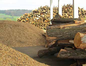 VERZAMELEN EN DROGEN Het geoogste hout (biomassa) brengen we naar een centrale plek voor verdere verwerking.
