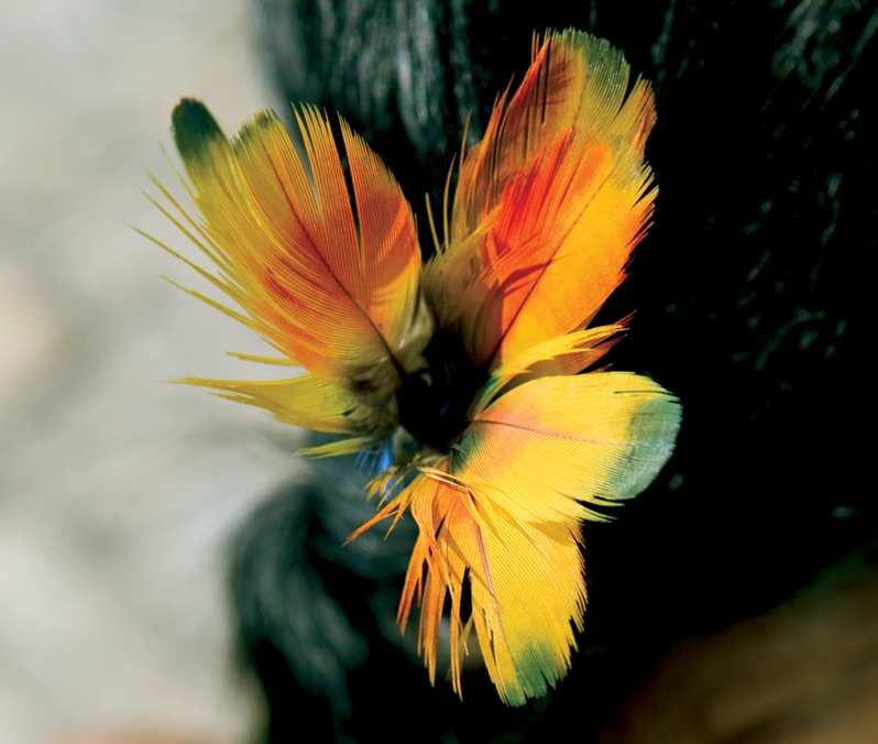 noten en fleurs de source uit Japan. Deze ingrediënten worden aangekocht met de steun van ngo's die de arme bevolkingsgroepen steunen, met respect voor de principes van solidaire en eerlijke handel.