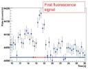 FOM-programma 48 Trapped radioactive isotopes: micro-laboratories for fundamental physics Radioactieve atomen gevangen 1 2 3 Een van de belangrijke stappen in het TRImP-programma van het Kernfysisch