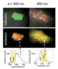 FOM-projectruimte project 06PR2488 Nanofotonica kleurt lichtgevende eiwitmoleculen 1 2 Lichtgevende eiwitmoleculen, zoals die worden geproduceerd door bijvoorbeeld kwallen en in koraal, zijn