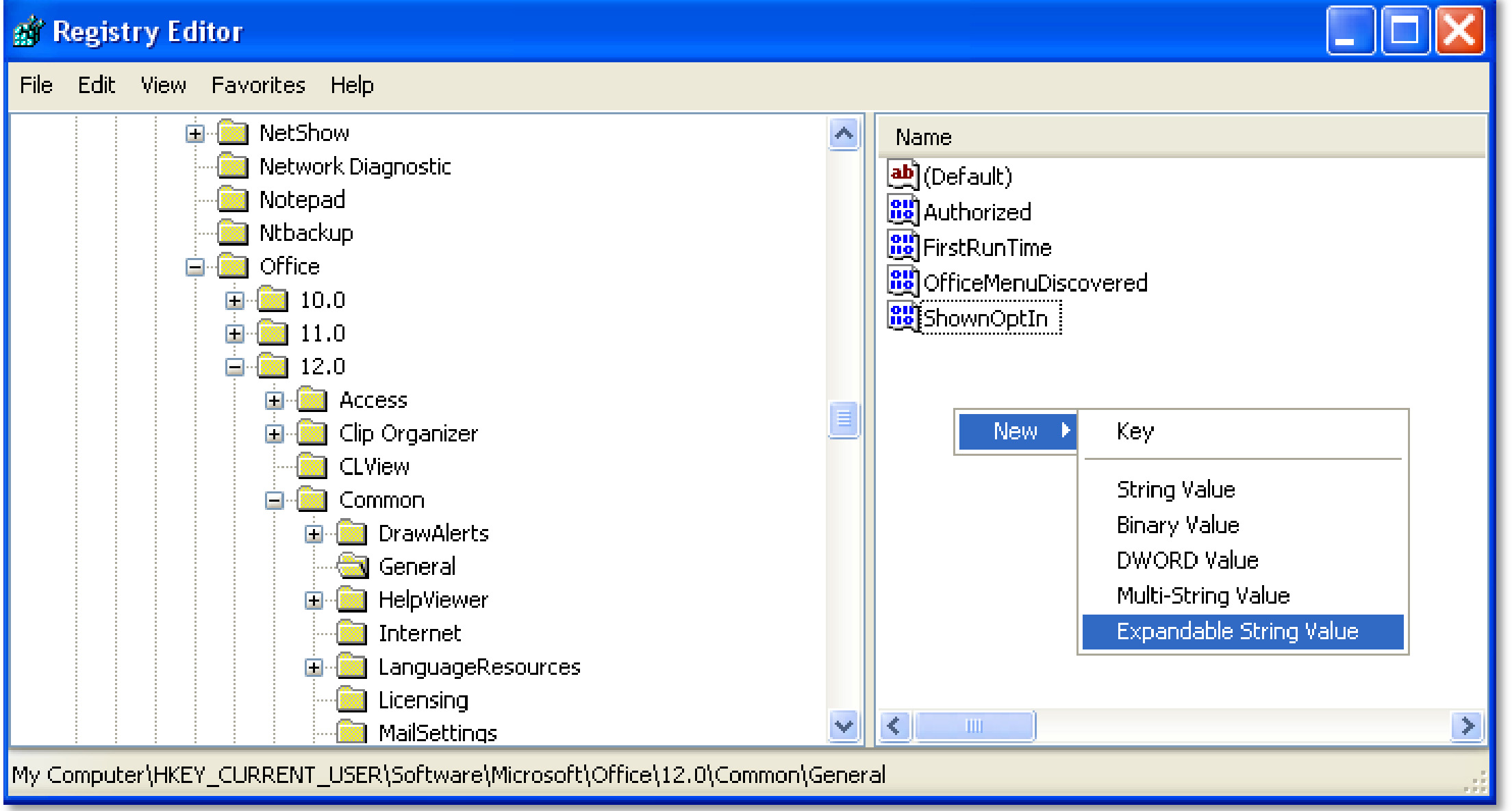 Rechtermuis-toets Kies: New >Expandable String Value Er ontstaat nu