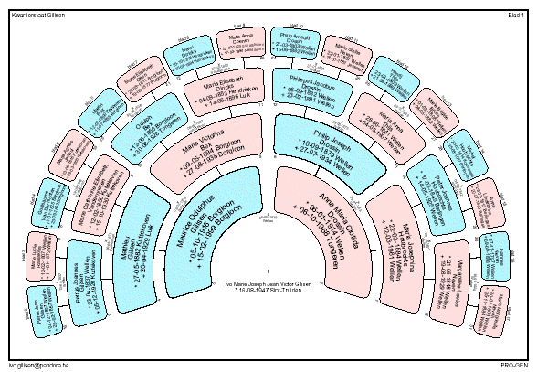 CIRKELDIAGRAM, Gegevens in kaders (blauw & roze) Bestaat ook in de vorm PDF