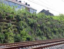 vanaf de Assesteenweg tot de Vianestraat; Veldweg ten noorden