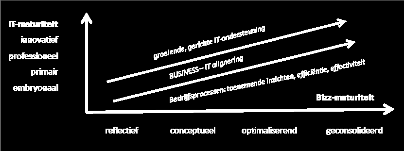 Bizz-maturiteit versus ITmaturiteit Optimale Bizz-