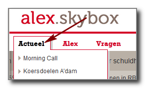 3. Het Skybox venster Het chatvenster bestaat uit een aantal onderdelen A. Het Logo B. Het chat leesveld C. Het chat invoerveld D. De Livecam E. De Gebruikers F. De Documenten A.