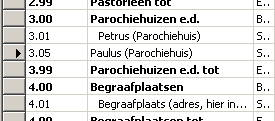 Stap 3. Dimensiewaarden invoeren (nieuwe waarde) Klik op nieuw of druk op F3. Voer een extra parochiehuis door code 3.05 in te voeren. In de tweede kolom toetst u de naam in.