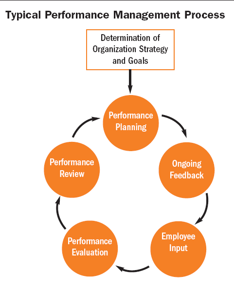 DE PERFORMANTIECYCLUS Functiebeschrijving Planning Beoordeling Performantie ontwikkelingsplan Figuur 2: Typical Performance Management Proces Opvolging Prof. Dr. A. Vanderstraeten / Dep.