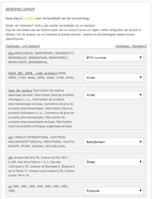 Bij het opladen van uw bestand probeert Fast Audit Online uw gegevens te herkennen. In het volgende scherm krijgt u een mapping van uw data voorgesteld.