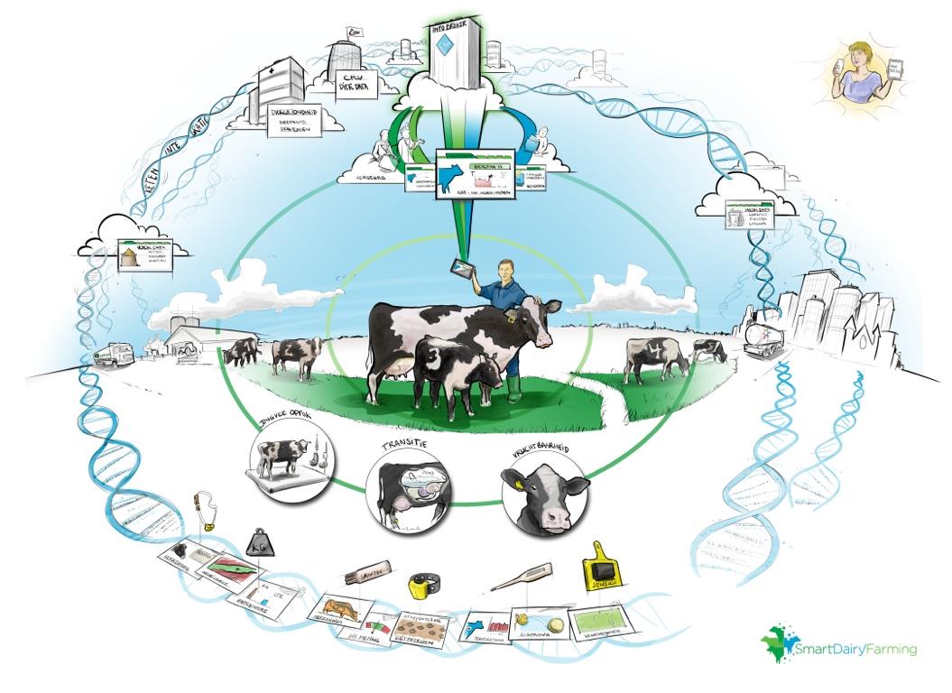 Smart Dairy Farming