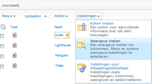 Diavoorstelling / Slide Show Vermeldenswaard is nog een extra optie onder de Lijst Acties wat eigenlijk ook een Weergave is.