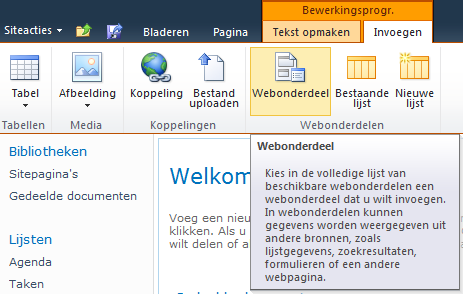 * Bij een aantal sjablonen werkt deze routine iets anders. Kies voor Pagina Bewerken, Invoegen, Webonderdeel. De verder beschreven stappen zijn in alle sites gelijk.