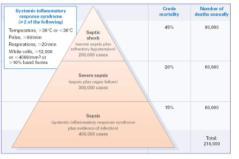 CTMM landscape Stroke Breast Prostate Lung Colon Heart Failure CTMM: molecular diagnostics In vitro diagnostics Molecular imaging Early detection of disease