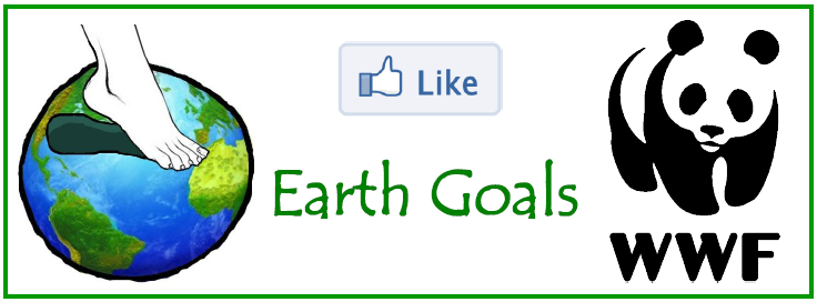 2011 Resultaat Project Cursus Leiderschap Earth Goals: een doelgerichte applicatie voor Facebook In opdracht van: Wereld Natuur Fonds Nederland